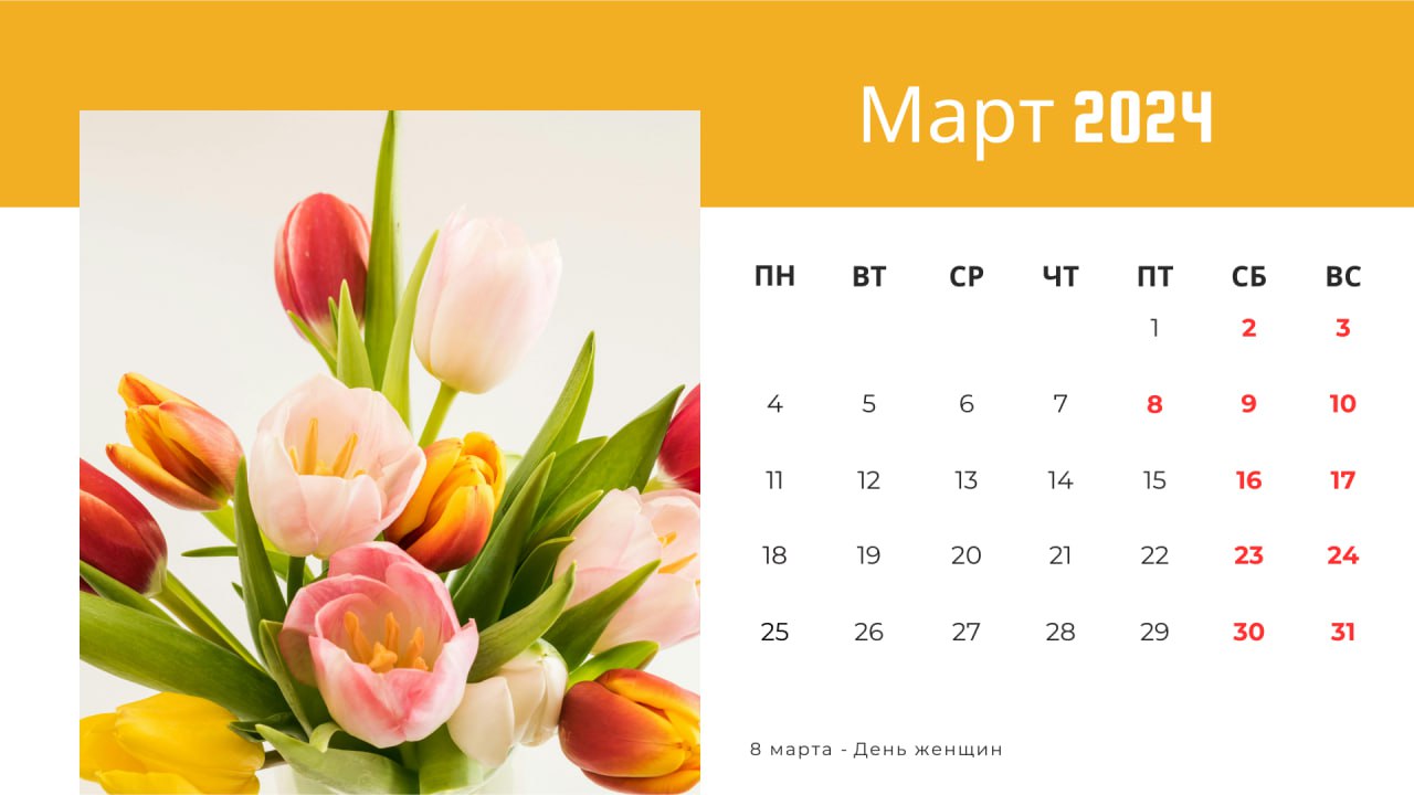 IMG 20240227 120840 977