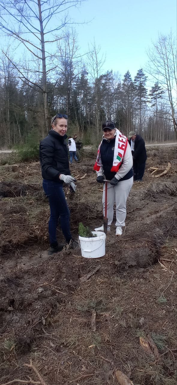 photo 5197623809802963917 y